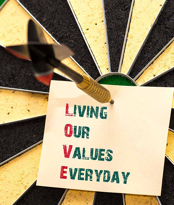 Values and goals