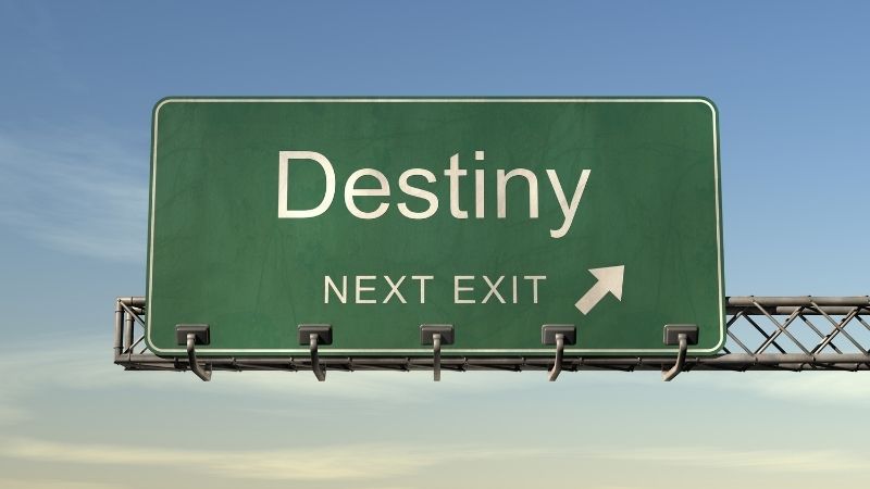 director-of-your-detsiny