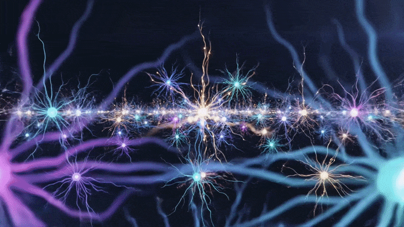 quality-questions-expand-intuition