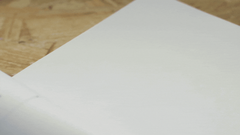 see-both-sides-neutrality