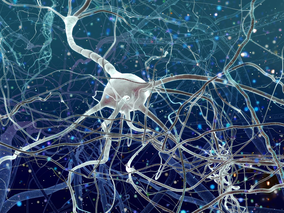 Нейроны. Нейросеть. Сеть нейронов. Нейроны космос. Сеть нервных клеток у каких беспозвоночных
