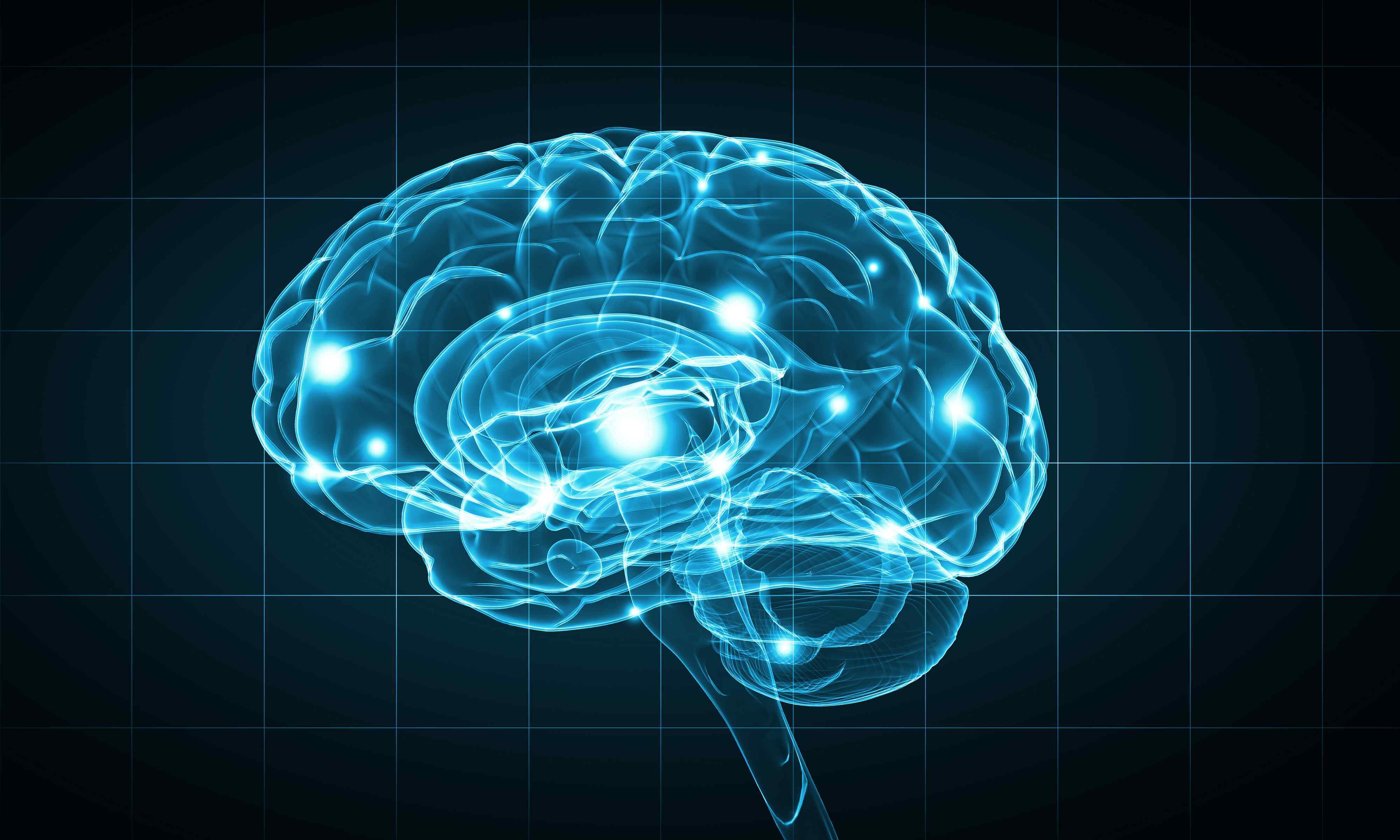 Is Your Brain Evolving?