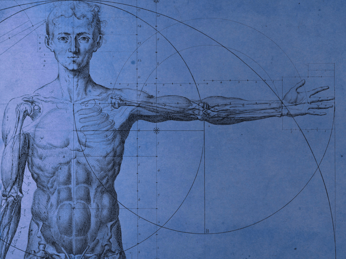 Decoding The Body's Messages