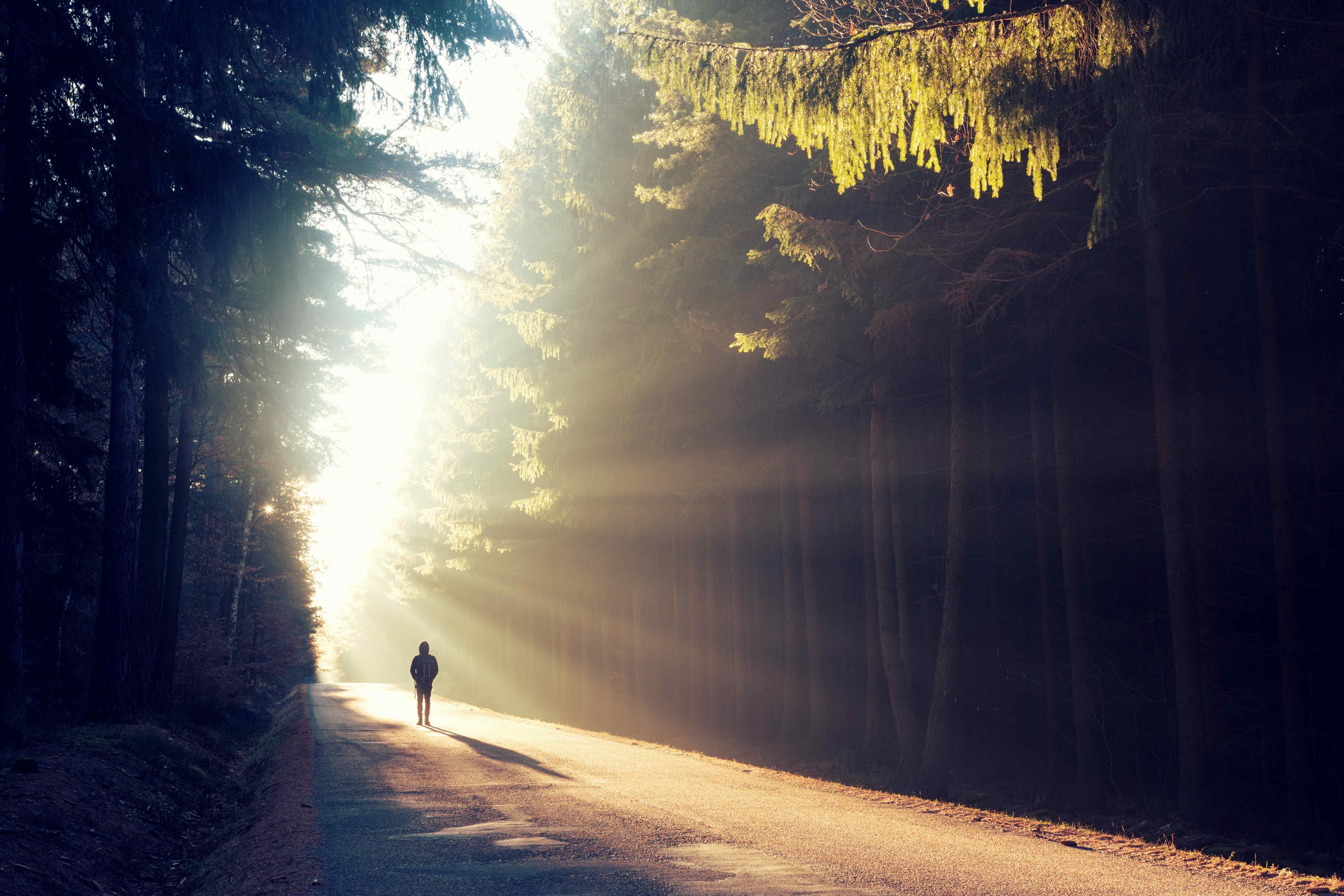 Since You Are the Creator of Your Life: It is wise to Co-Fashion Your Life According to Your Highest Values